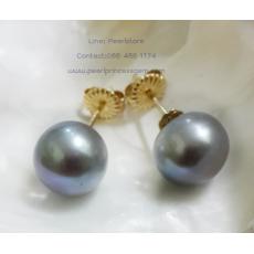 Grey Pearl Stud Earrings14kG:ต่างหูไข่มุกเม็ดเดี่ยวสีเทา 10-10.5มม.(ตัวเรือนทองแท้)