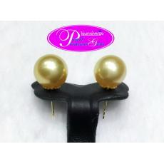Golden Southsea Pearl Stud Earrings 18kG: ต่างหูไข่มุกเซาท์ซีสีทอง(ตัวเรือนทองแท้)