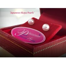 Japanese Akoya Pearls Stud Earrings : ต่างหูไข่มุกอะโกย่าแท้จากญี่ปุ่นขนาด 5-5.5มม.
